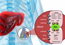 Interactions Between SARS-CoV-2 and CYP3A4 Metabolism: Implications for Medication Management during COVID-19