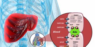 Interactions Between SARS-CoV-2 and CYP3A4 Metabolism: Implications for Medication Management during COVID-19