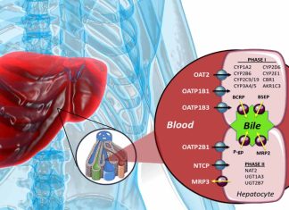 Interactions Between SARS-CoV-2 and CYP3A4 Metabolism: Implications for Medication Management during COVID-19