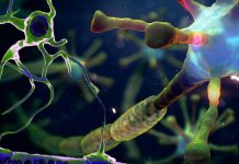 Exploring the Link Between COVID-19 Vaccination and Neuroinflammatory Disorders: A Comprehensive Analysis of NMOSD and Cytotoxic Lesions of the Corpus Callosum