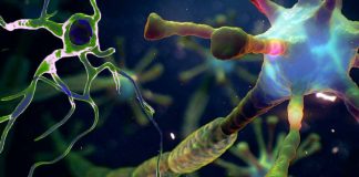 Exploring the Link Between COVID-19 Vaccination and Neuroinflammatory Disorders: A Comprehensive Analysis of NMOSD and Cytotoxic Lesions of the Corpus Callosum