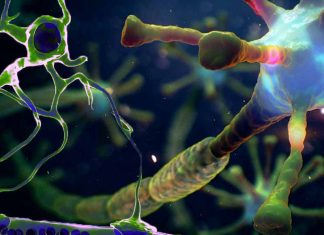Exploring the Link Between COVID-19 Vaccination and Neuroinflammatory Disorders: A Comprehensive Analysis of NMOSD and Cytotoxic Lesions of the Corpus Callosum