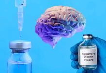 A Novel Vaccine Targeting Inflamed Brain Cells Shows Promise in Alzheimer’s Disease Prevention and Treatment