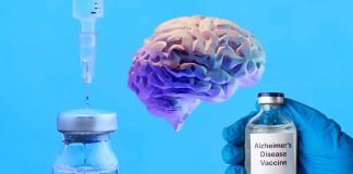 A Novel Vaccine Targeting Inflamed Brain Cells Shows Promise in Alzheimer’s Disease Prevention and Treatment