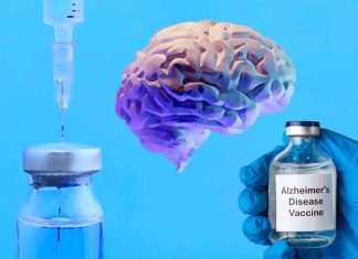 A Novel Vaccine Targeting Inflamed Brain Cells Shows Promise in Alzheimer’s Disease Prevention and Treatment