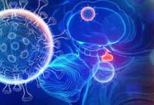 Adrenal Insufficiency in COVID-19 Pneumonia: Prevalence, Mechanisms and Clinical Implications