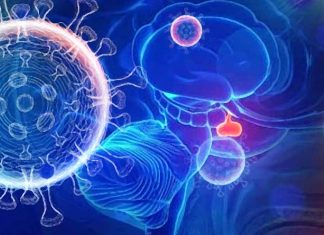 Adrenal Insufficiency in COVID-19 Pneumonia: Prevalence, Mechanisms and Clinical Implications