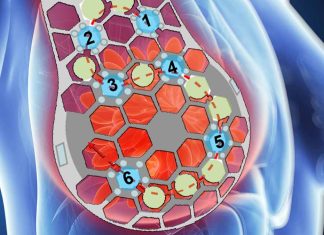 Advancing Cancer Detection with Conformable Ultrasound Breast Imaging: The Breakthrough cUSBr-Patch Technology