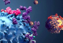 The Role of CD8+ T Cells in COVID-19: Unraveling the Immune Response Complexity