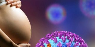 Epigenetic Consequences: The Impact of COVID-19 Exposure During Pregnancy on Neonatal DNA Methylation