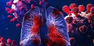 Understanding the Role of EC-like Myofibroblasts in COVID-19-Related Pulmonary Fibrosis