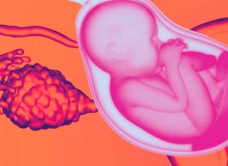Cancer and Fertility Preservation: Pioneering Cell-Based Therapies for Restoring Ovarian Function and Fertility