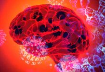 Cognitive Deficits in Long COVID Patients: A Comprehensive Analysis of SARS-CoV-2 Infection and Symptom Duration Effects