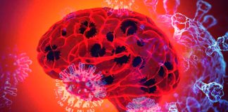 Cognitive Deficits in Long COVID Patients: A Comprehensive Analysis of SARS-CoV-2 Infection and Symptom Duration Effects