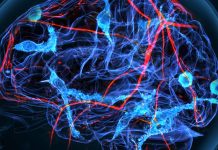 Glial Replacement as a Therapeutic Strategy for Neurodegenerative and Neuropsychiatric Disorders: Insights from in vivo Studies