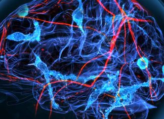 Glial Replacement as a Therapeutic Strategy for Neurodegenerative and Neuropsychiatric Disorders: Insights from in vivo Studies
