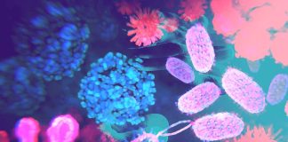 The Gut Microbiota and Parkinson’s Disease: A Promising Therapeutic Avenue