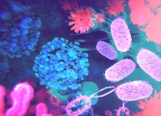 The Gut Microbiota and Parkinson’s Disease: A Promising Therapeutic Avenue