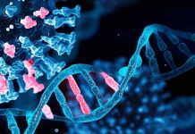 How Epigenetic Changes are Linked to SARS-CoV-2 Changes in Gene Patterns Shaping Our Food Choices