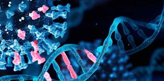 How Epigenetic Changes are Linked to SARS-CoV-2 Changes in Gene Patterns Shaping Our Food Choices