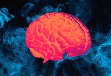 The Impact of SARS-CoV-2 Infection on Human Brain and Memory: Insights into Long-COVID Syndrome