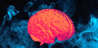 The Impact of SARS-CoV-2 Infection on Human Brain and Memory: Insights into Long-COVID Syndrome