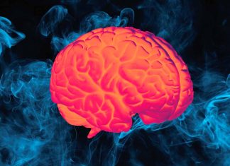 The Impact of SARS-CoV-2 Infection on Human Brain and Memory: Insights into Long-COVID Syndrome