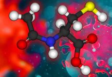 N-acetil cisteina (NAC): svelare il potenziale di un integratore alimentare nell’interrompere la proteina Spike SARS-CoV-2 e l’interazione ACE2