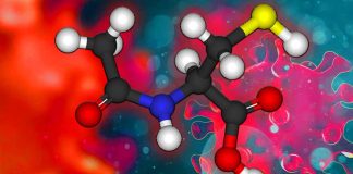 N-acetil cisteina (NAC): svelare il potenziale di un integratore alimentare nell’interrompere la proteina Spike SARS-CoV-2 e l’interazione ACE2