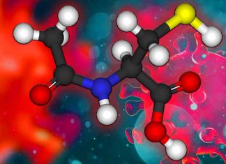 N-acetil cisteina (NAC): svelare il potenziale di un integratore alimentare nell’interrompere la proteina Spike SARS-CoV-2 e l’interazione ACE2