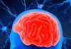 Non-Pharmacologic Brain Rehabilitation Interventions for Cognitive Enhancement: Exploring the Potential in ADHD, PCS, and Memory Loss
