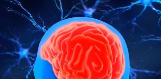 Non-Pharmacologic Brain Rehabilitation Interventions for Cognitive Enhancement: Exploring the Potential in ADHD, PCS, and Memory Loss