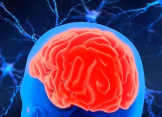 Non-Pharmacologic Brain Rehabilitation Interventions for Cognitive Enhancement: Exploring the Potential in ADHD, PCS, and Memory Loss