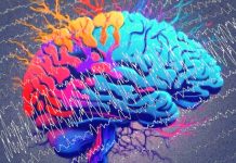 A Revolutionary Advancement in Treating Temporal Lobe Epilepsy: UC San Diego Health’s Breakthrough