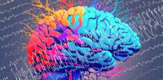 A Revolutionary Advancement in Treating Temporal Lobe Epilepsy: UC San Diego Health’s Breakthrough