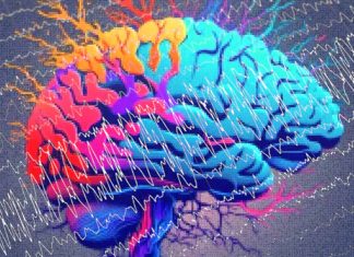 A Revolutionary Advancement in Treating Temporal Lobe Epilepsy: UC San Diego Health’s Breakthrough
