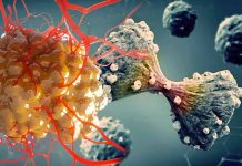 The Role of MPI and Honeybee Syndrome in Genomic Instability: Implications for Cancer Therapy