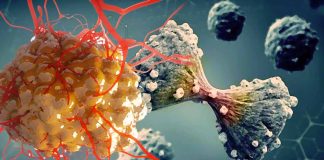 The Role of MPI and Honeybee Syndrome in Genomic Instability: Implications for Cancer Therapy
