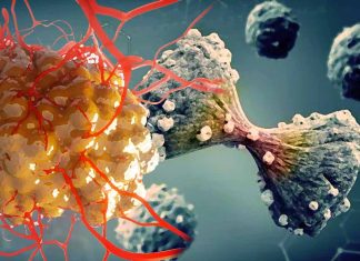 The Role of MPI and Honeybee Syndrome in Genomic Instability: Implications for Cancer Therapy