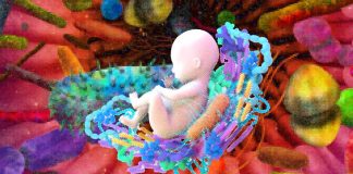 Impact of SARS-CoV-2 Infection on Maternal Microbiota and Its Consequences for Offspring