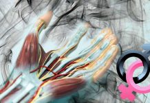 The Forensic Potential of Human Hand Odor: A Novel Approach to Identifying Criminals