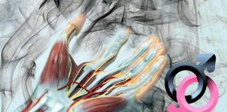The Forensic Potential of Human Hand Odor: A Novel Approach to Identifying Criminals
