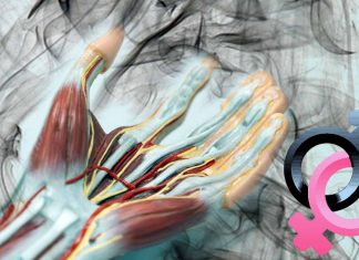 The Forensic Potential of Human Hand Odor: A Novel Approach to Identifying Criminals