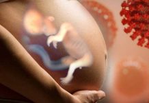 The Impact of SARS-CoV-2 Infection on the Lipid Profile in the Mother-Placenta-Fetus System During Pregnancy: Implications for Fetal Development and Long-Term Health