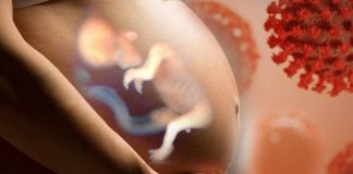 The Impact of SARS-CoV-2 Infection on the Lipid Profile in the Mother-Placenta-Fetus System During Pregnancy: Implications for Fetal Development and Long-Term Health