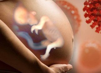 The Impact of SARS-CoV-2 Infection on the Lipid Profile in the Mother-Placenta-Fetus System During Pregnancy: Implications for Fetal Development and Long-Term Health