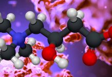 The Potential Benefits of L-Carnitine Supplementation in COVID-19