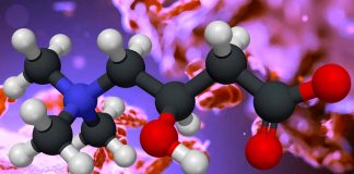 The Potential Benefits of L-Carnitine Supplementation in COVID-19