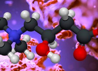 The Potential Benefits of L-Carnitine Supplementation in COVID-19