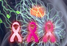 Unraveling the Microbial Symphony: Flaxseed, Gut Microbiota and Mammary miRNAs in the Battle Against Breast Cancer